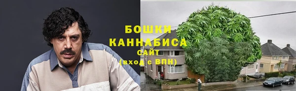 спиды Каменка