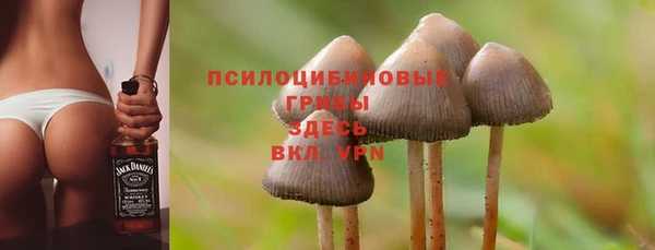 спиды Каменка
