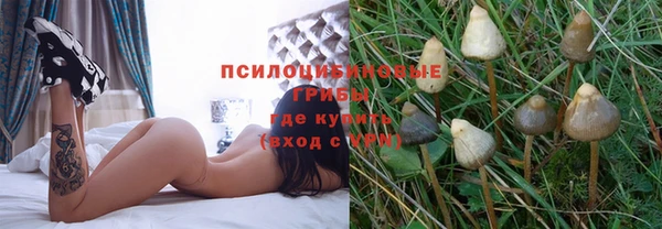 прущий лед Каменск-Шахтинский