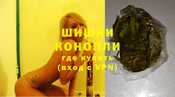 спиды Каменка