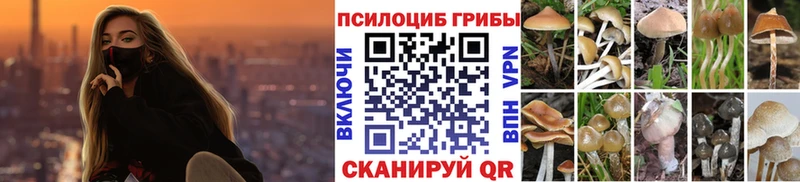 Галлюциногенные грибы MAGIC MUSHROOMS  Купить закладки  Заозёрск 
